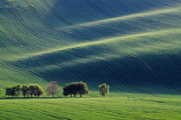 Rolling sunny hills with fields and trees suitable for backgrounds or wallpapers natural seasonal landscape Southern Moravia Czech republic