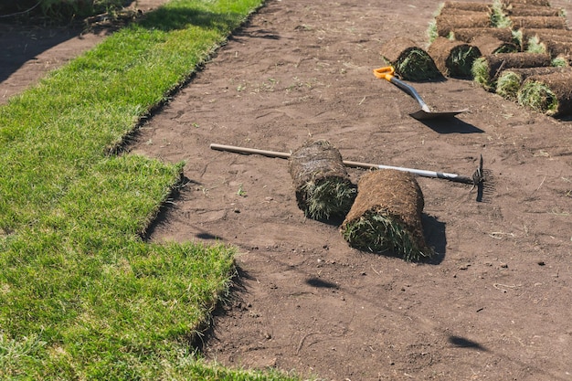 Rolls of lawn grass on sunny day country house and landscape design