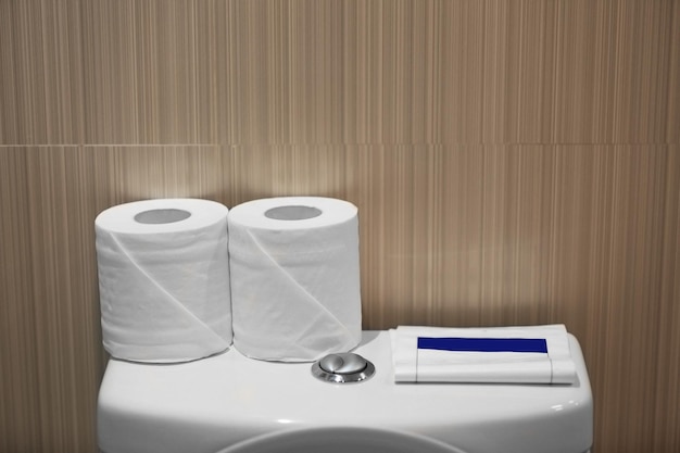 Rolls of toilet paper in restroom