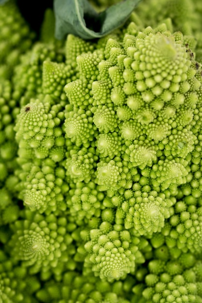 Roman cauliflower geometry details