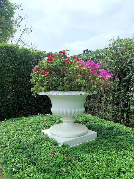 Roman flower style ornamental pot in the garden