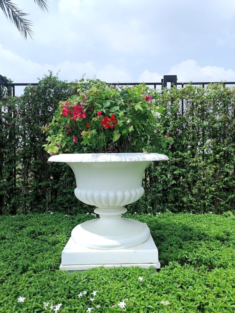 Roman flower style ornamental pot in the garden