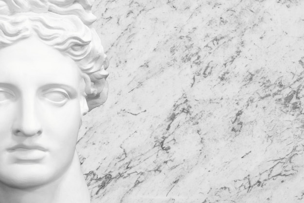 Roman sculpture on a gray background bust of a man