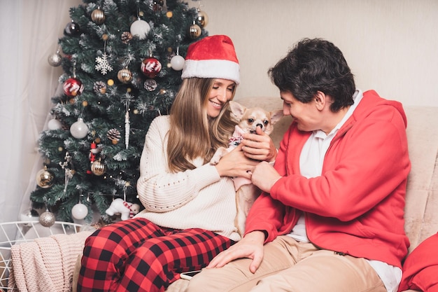 Romantic couple man and woman giving christmas gift sweater to cute puppy dog chihuahua on christmas