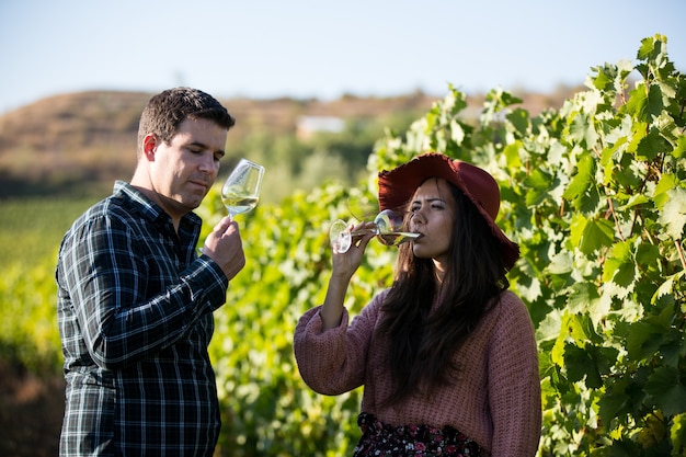 Romantic couple tasting wine from drinking glasses between vine rows.