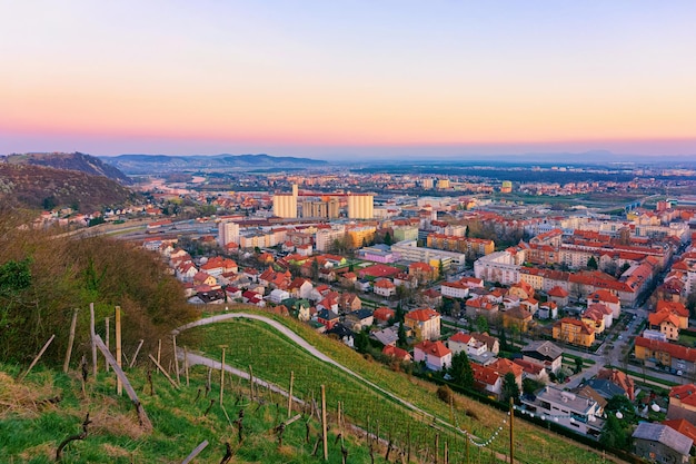 Romantic Landscape and cityscape with vineyards in Maribor in Slovenia in Lower Styria in Europe. Nature in spring in Slovenija. Sunset. Vine cesta on Piramida or Pyramid hill