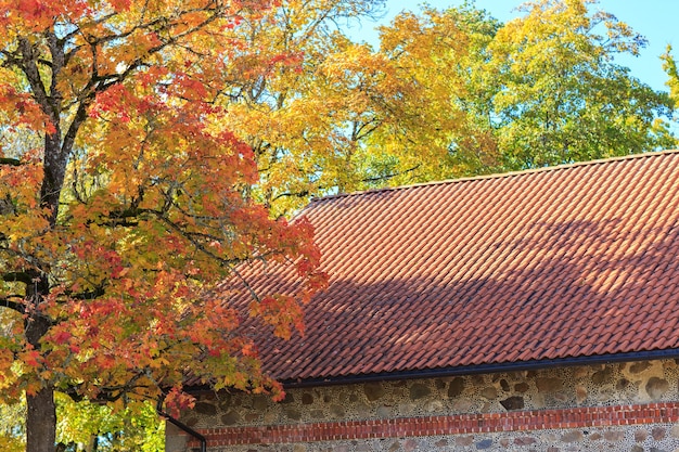 the roof of the house is covered with red tiles and a maple tree in bright autumn foliage