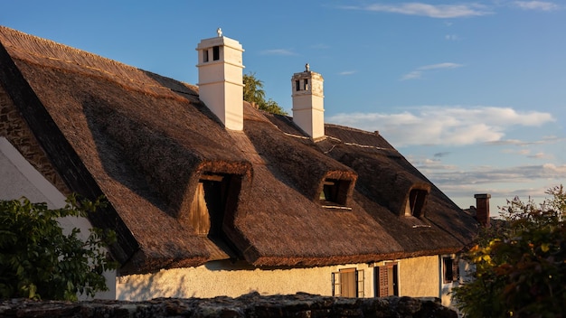 Roof of an old house created from reed stems hungary europe