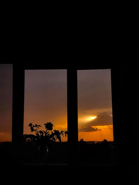 Room plant on the window with amazing landscape background