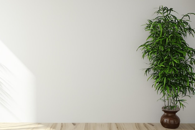 A room with a wall that has a plant on it