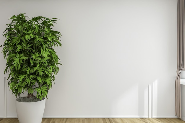 A room with a wall that has a plant on it