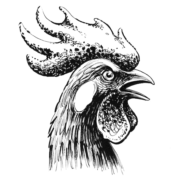 Rooster head. Ink black and white drawing