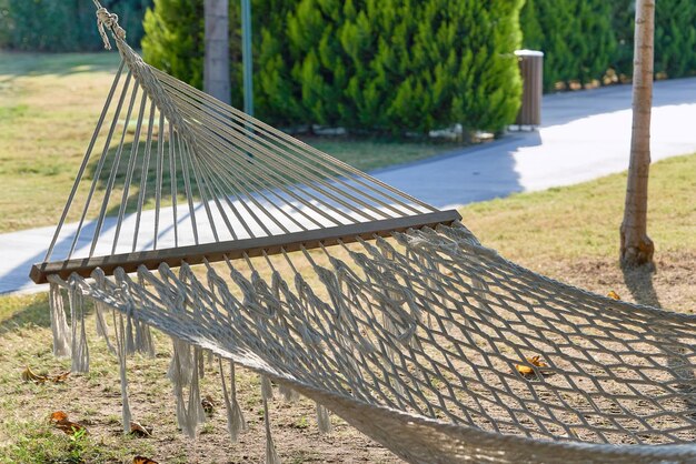 Rope hammock hanging between the trees to relax on a hot summer day. Empty hammock close up