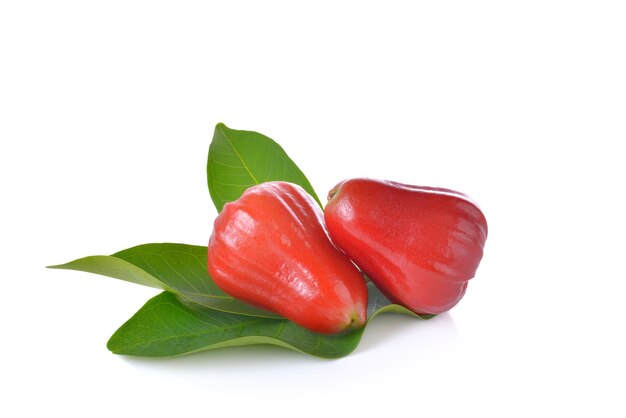 Rose apples or chomphu on white wall.