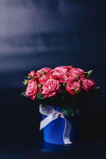 Rose bush in basket of Barbados variety on dark background