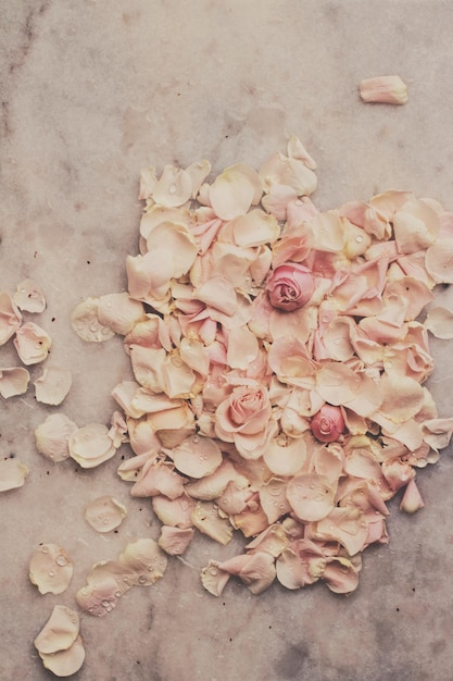 Rose flower petals on marble wedding holiday and floral garden styled concept