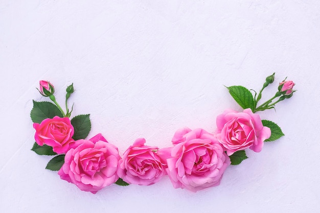 Rose flowers and green leaves on a pink background Springtime composition copy space