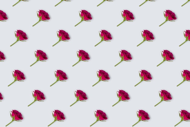 Rose flowers pattern on a blue pastel background