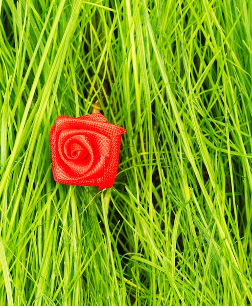 Rose from textiles on a background of green grass