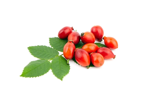 Rose hips briar berries with fresh green leaves isolated on white background