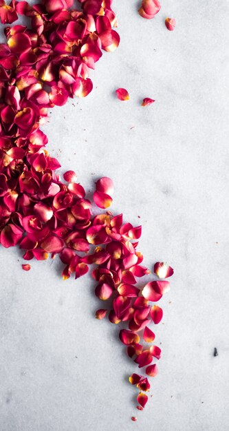 Rose petals on marble background floral decor and wedding flatlay holiday greeting card backdrop for...