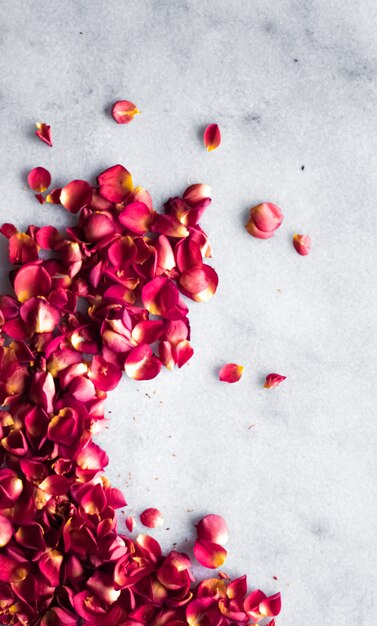 Rose petals on marble background floral decor and wedding flatlay holiday greeting card backdrop for...