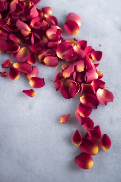 Rose petals on marble flatlay wedding holiday and floral background styled concept