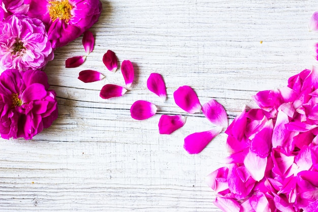 Rose petals on a wooden background Minimalism