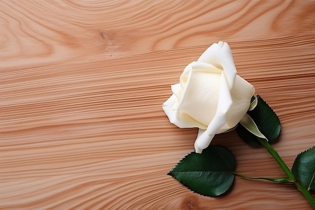 rose on a top of wooden table surface copy space aesthetic