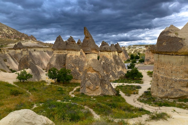 Rose valley in goreme turkey