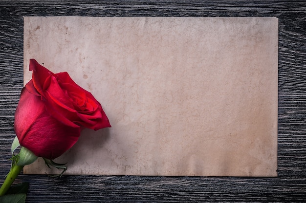 rosebud on wood board