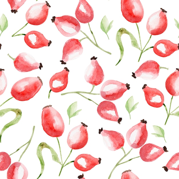 Rosehip watercolor seamless pattern