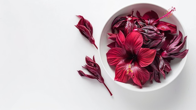 Roselle Hibiscus Flower in a White Bowl on transparent background