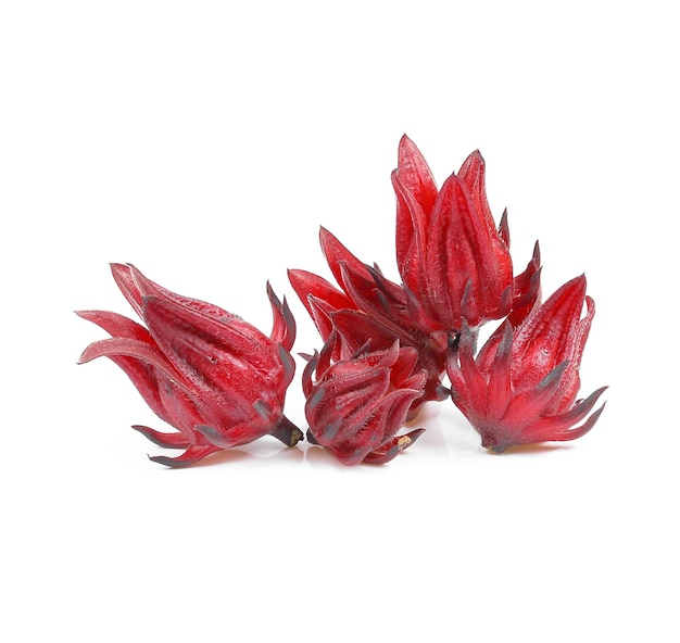 Roselle Hibiscus sabdariffa red fruit flower isolate on white background.