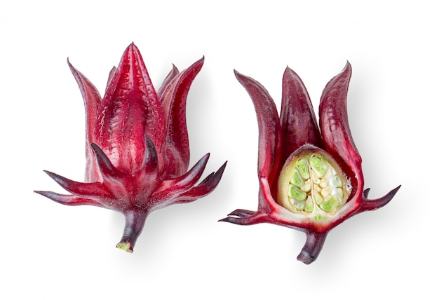 Roselle hibiscus sliced isolated