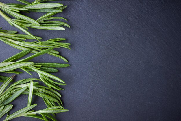 Rosemary branches on dark background Fresh rosemary on slate board Top view Copy space