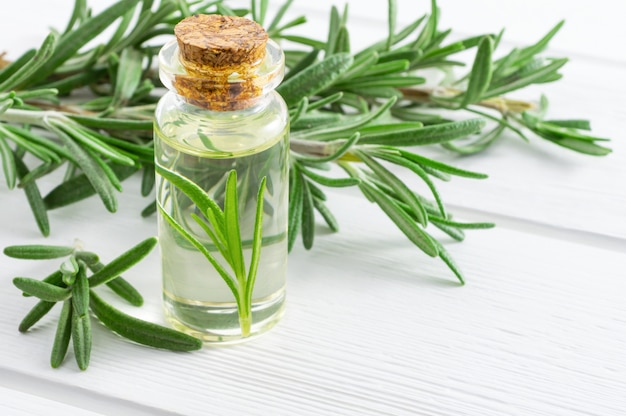 Rosemary essential oil and fresh rosemary branches.