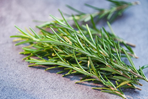 Rosemary herb fresh rosemary on background