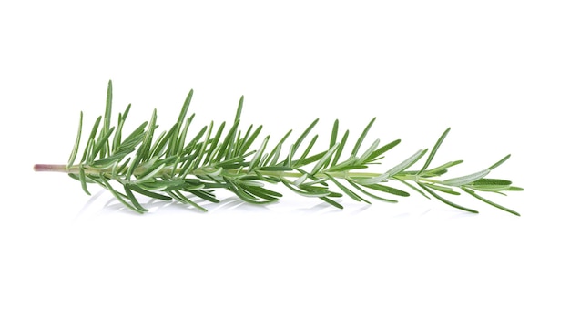 Rosemary isolated on white background