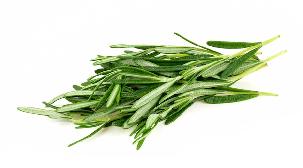 Rosemary isolated on white 