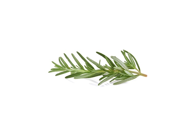 Rosemary isolated on white