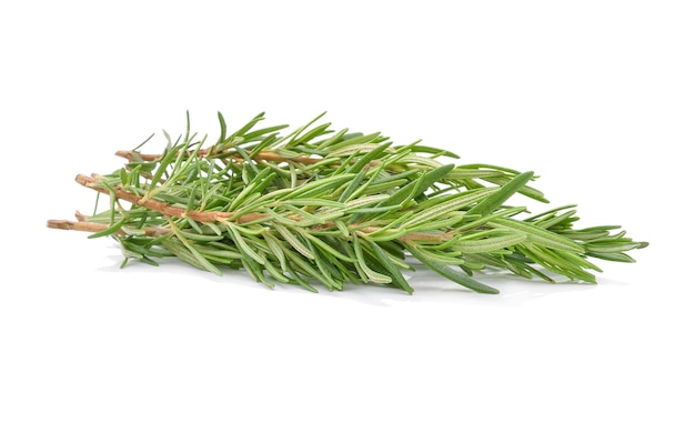 Rosemary isolated