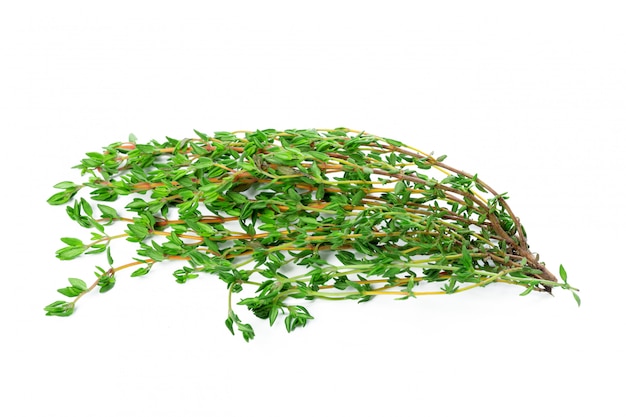 Photo rosemary leaves isolated on white