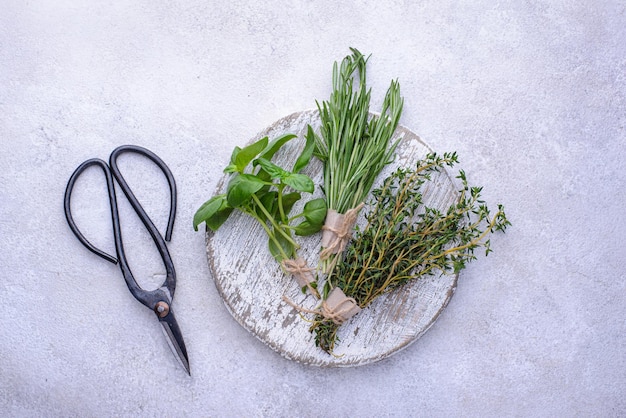 Rosemary thyme and basil Fresh garden herbs