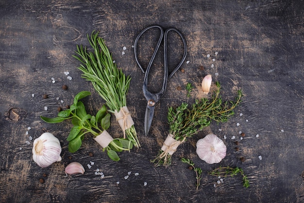 Rosemary thyme and basil fresh garden herbs