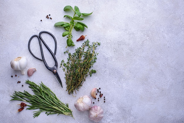 Rosemary thyme and basil fresh garden herbs