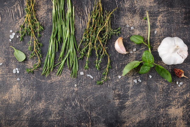 Rosemary thyme and basil fresh garden herbs