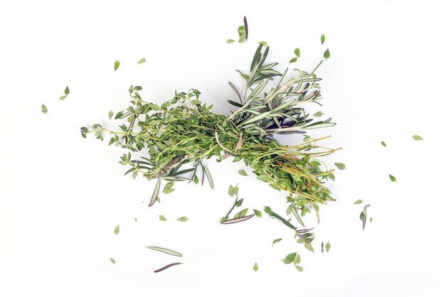 Photo rosemary thyme green herb bundle on white background