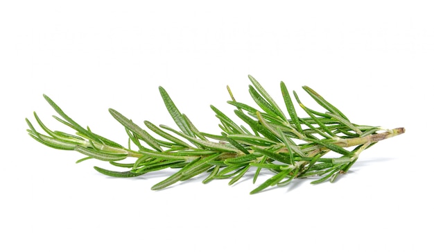 Rosemary on white 