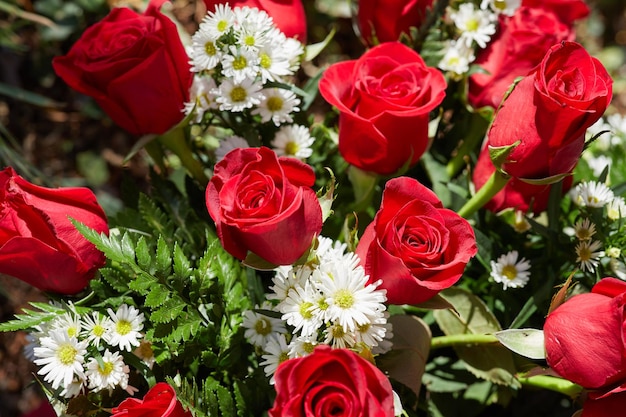 Roses and chamomiles with green leaves closeup photo